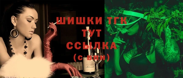 дмт Алексин