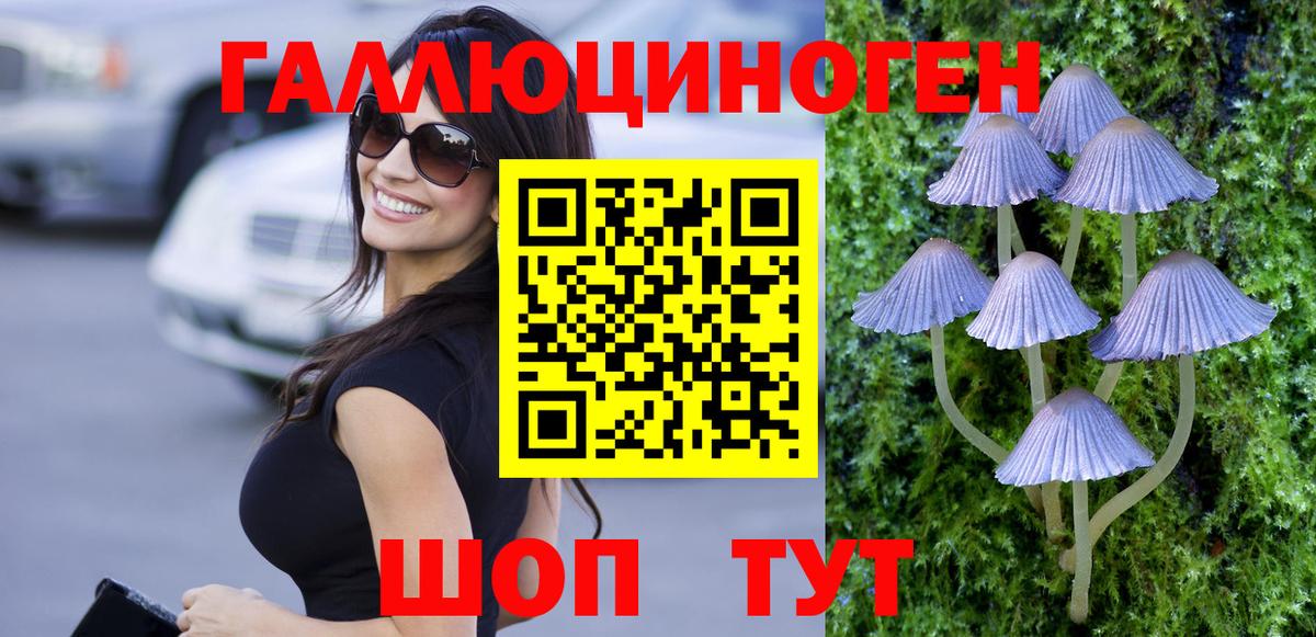 Галлюциногенные грибы MAGIC MUSHROOMS  Лесной 
