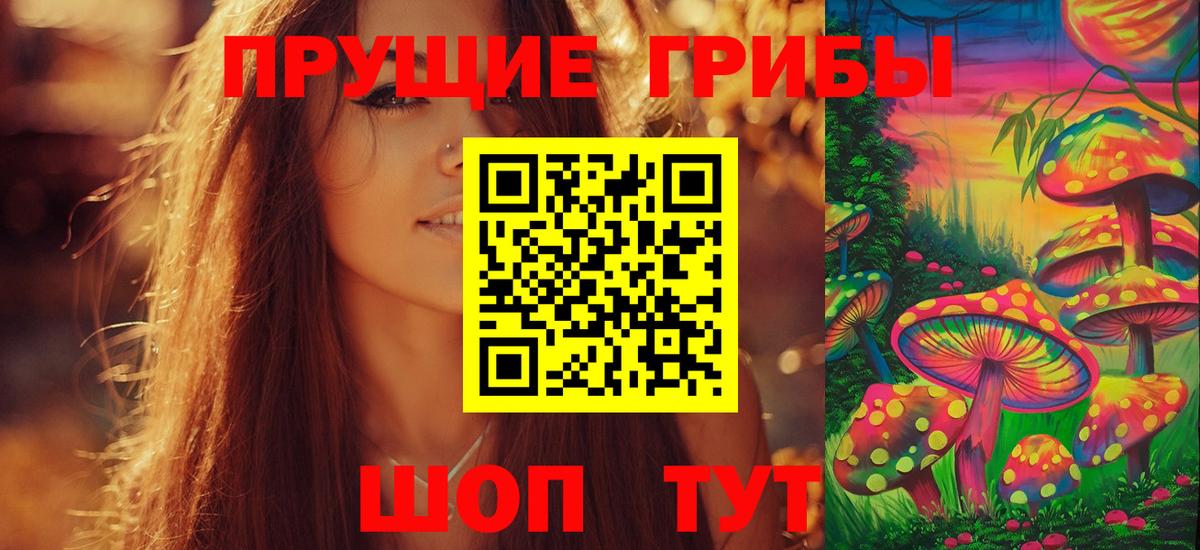 Лесной  Галлюциногенные грибы прущие грибы  Галлюциногенные грибы MAGIC MUSHROOMS  Вход с VPN 