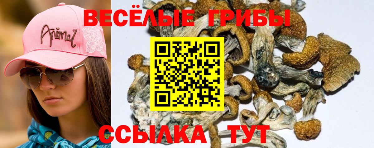 Псилоцибиновые грибы MAGIC MUSHROOMS Лесной