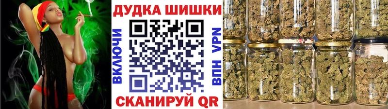 shop клад  где можно купить   Лесной  Конопля планчик 